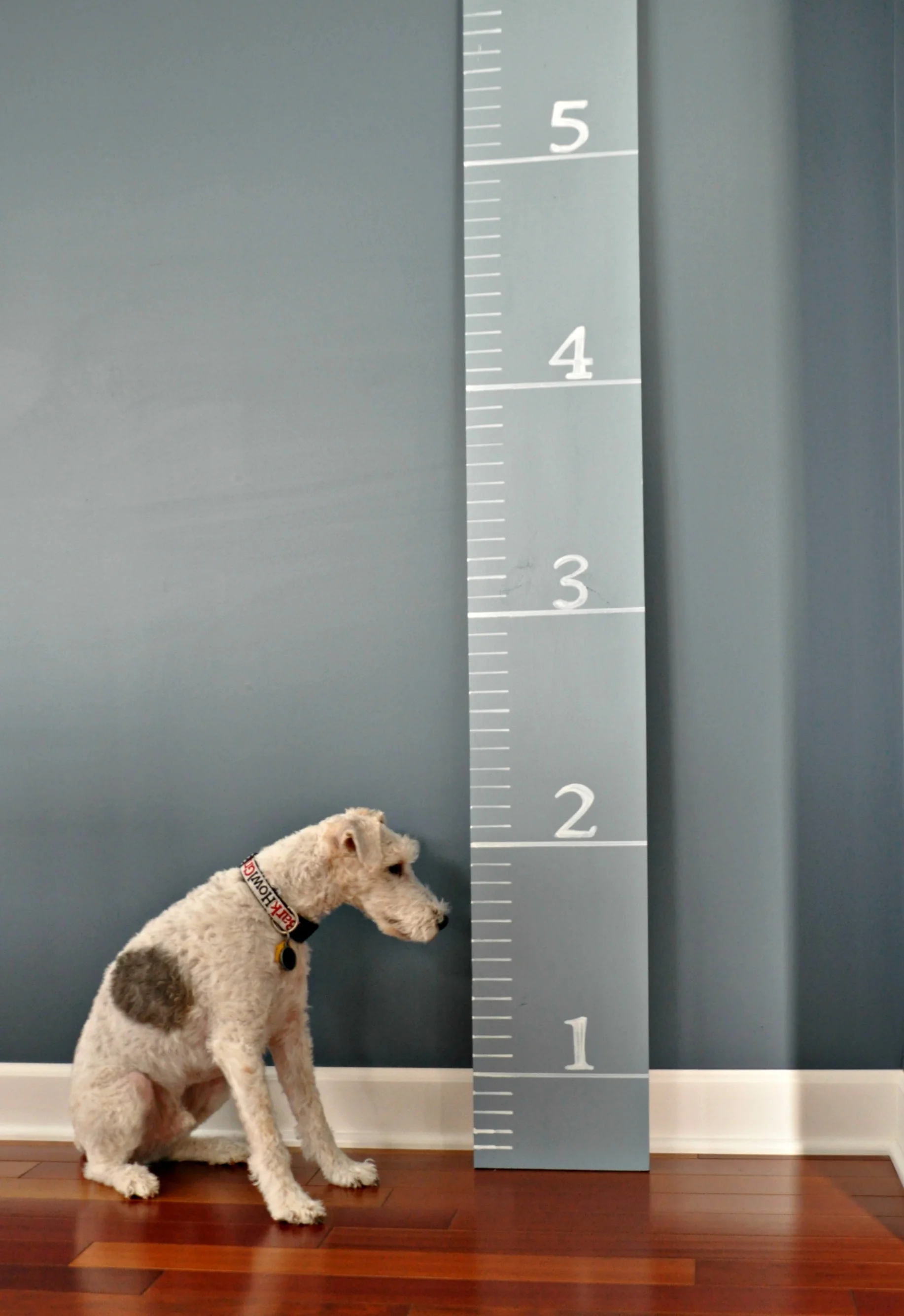 DIY Growth Chart Tutorial — Decor and the Dog